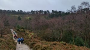Crazy hikers – Devil’s Punchbowl, pretty lakes and heathland