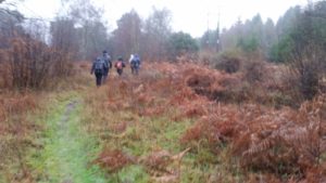 Crazy hikers – Devil’s Punchbowl, pretty lakes and heathland